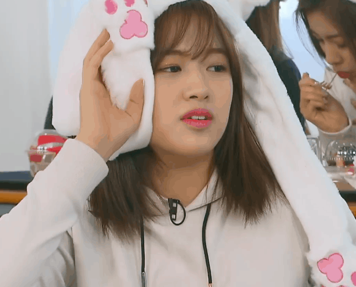 새우가 먹고 싶은 댕댕이