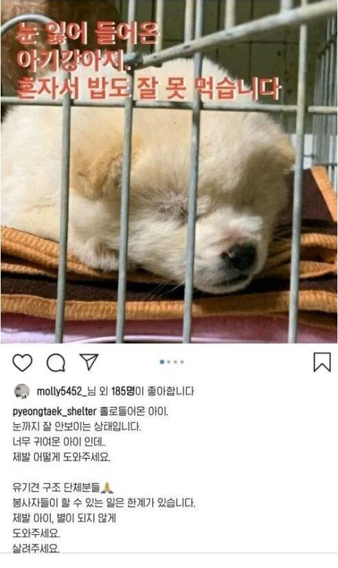 이연복이 입양한 개