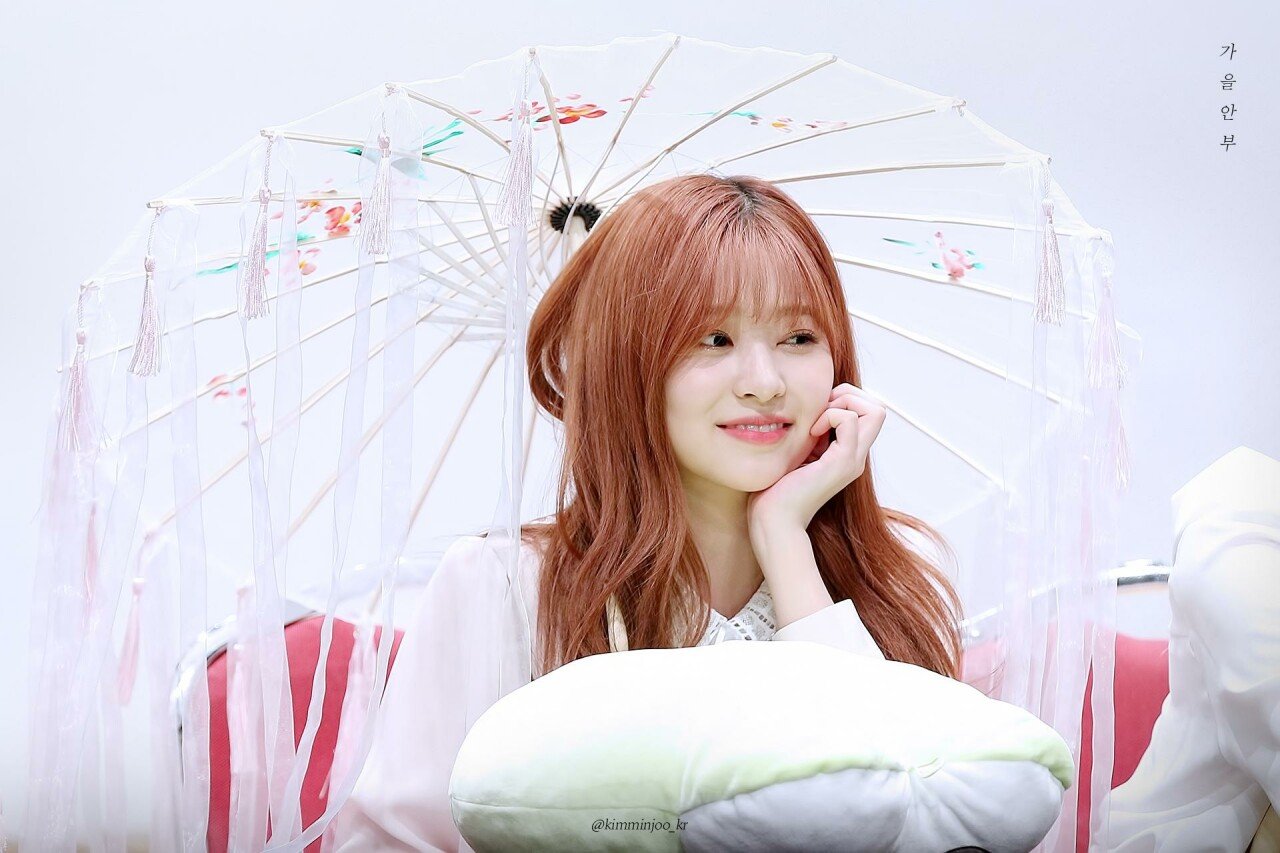 1일 1민주 1일차