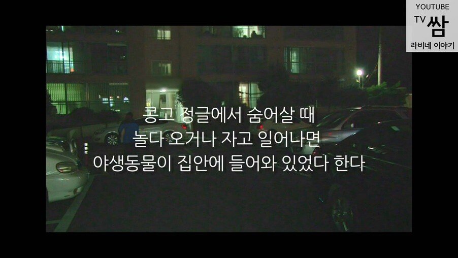 한국으로 오기 전까지의 삶