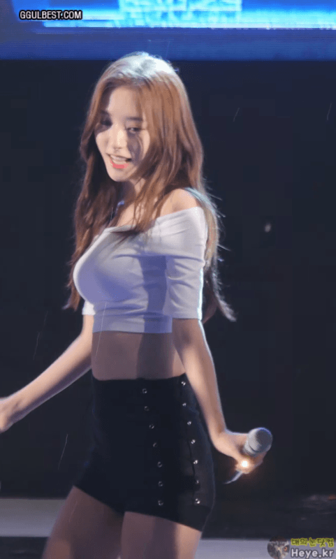 검은끈 보나