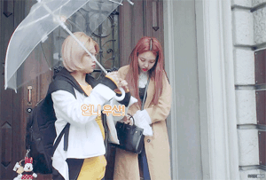 멤버들 잘 챙기는 유다정 정연