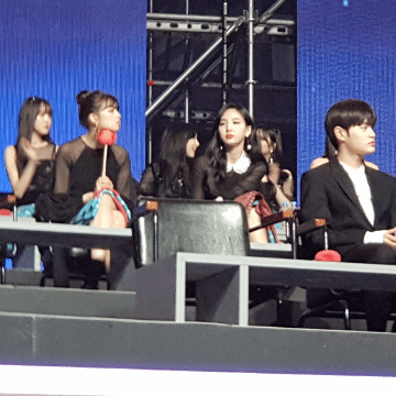 골든디스크 미나, 나연, 모모, 지효, 쯔위 [193MB]