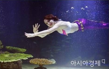 63 빌딩 아쿠아리움 공연