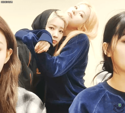 콘서트후 나연 모모 사나 다현 지효