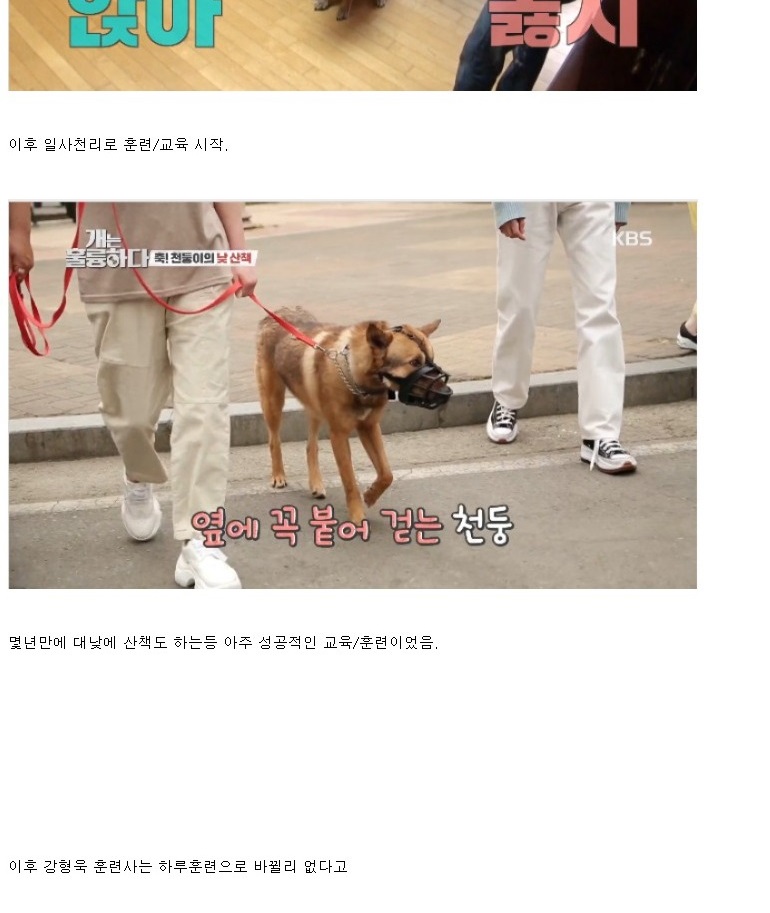 개통령 동물학대 논란