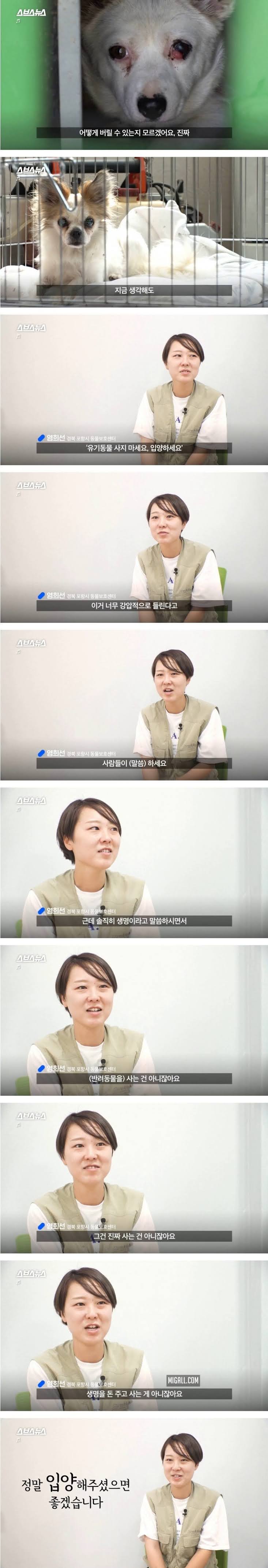 인생샷 찍어주는 보호소