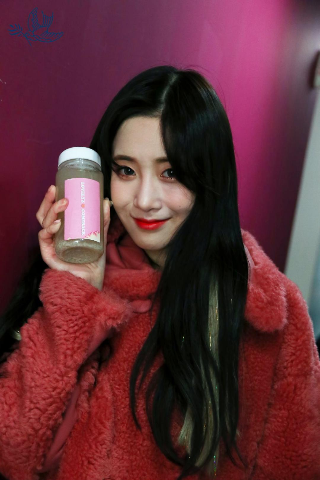 Lovelyz 소중했던 기억들로 Rewind 스압~