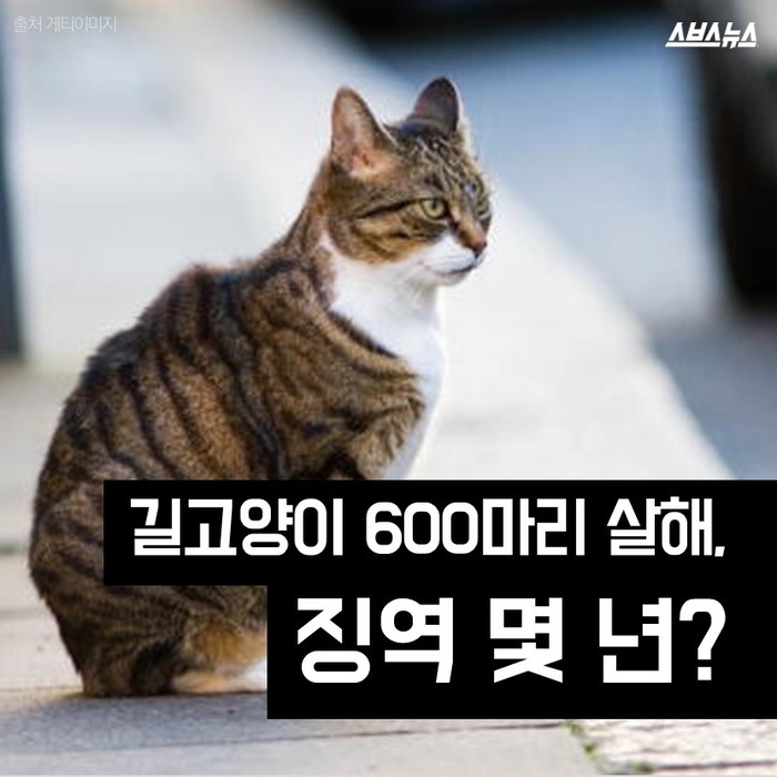 고양이 600마리 살해, 집행유예 2년 선고