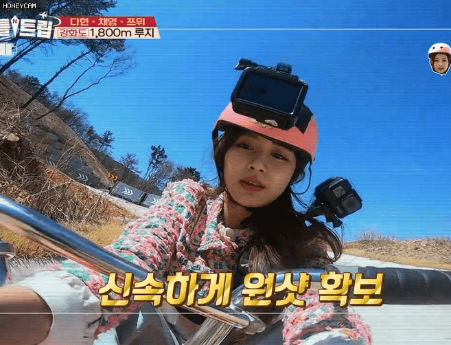 급식단 봄투어