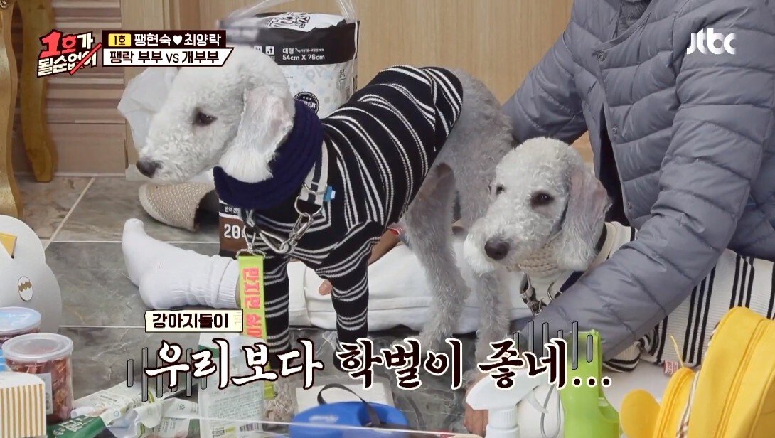 개라면 질색하던 최양락