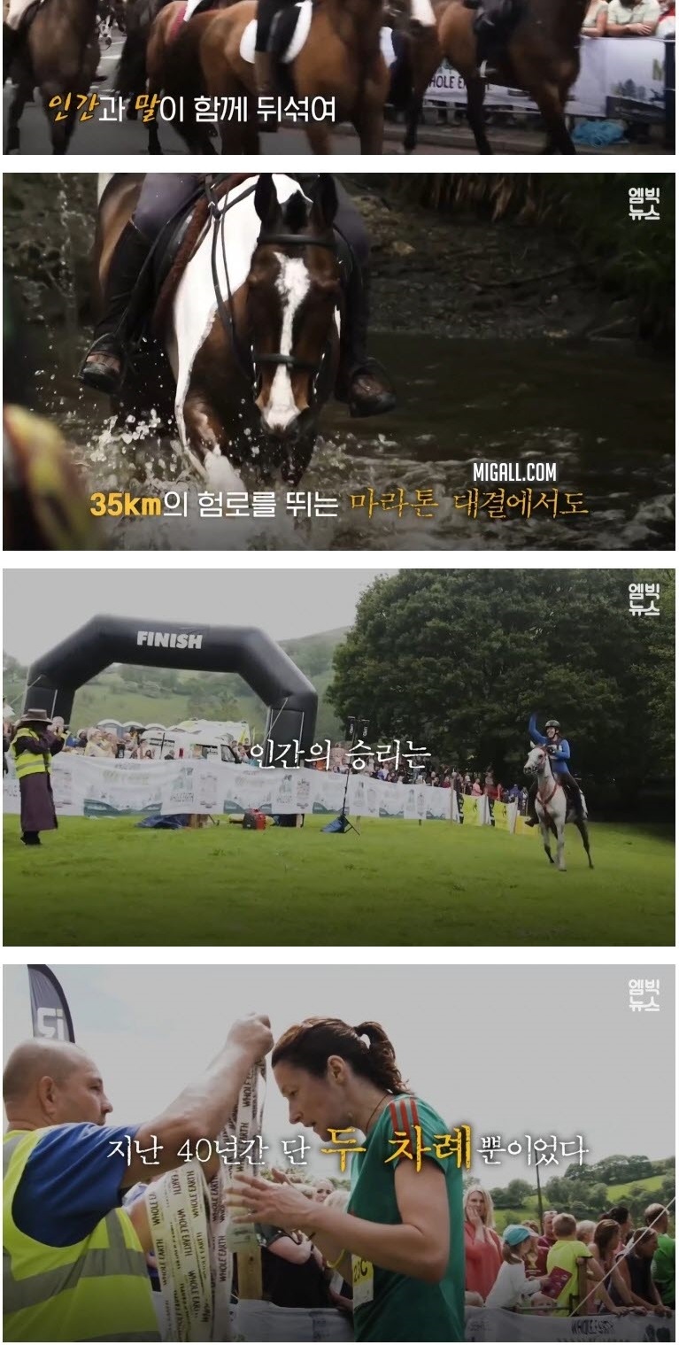 인간 VS 동물 기상천외한 승부