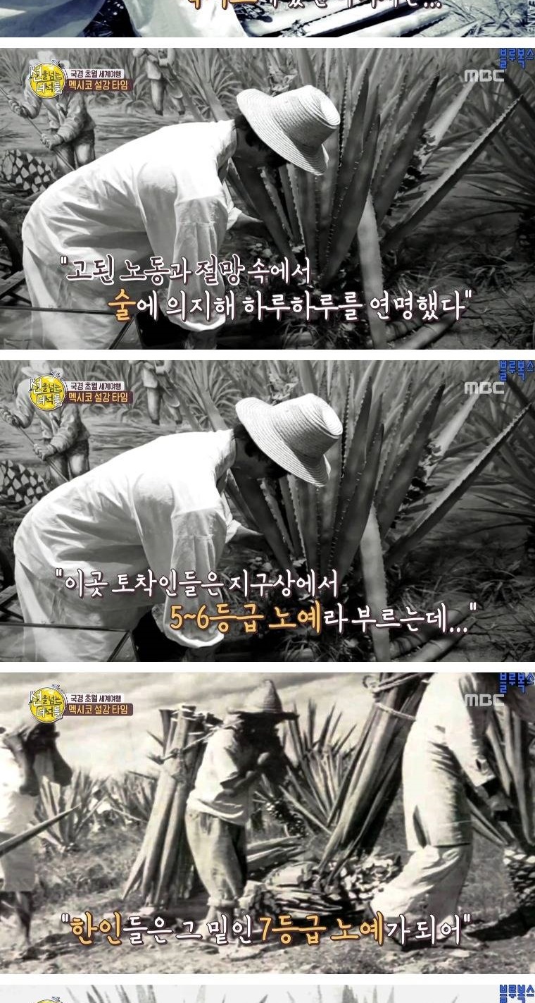 멕시코로 갔던 첫 조선인들