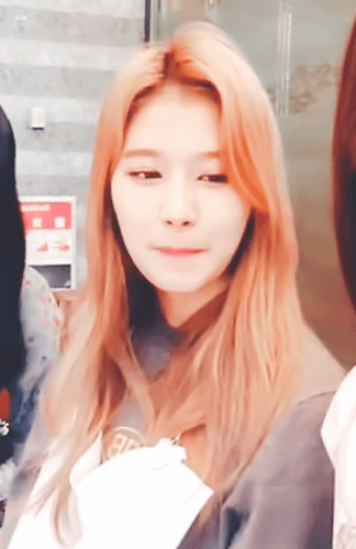 오늘자 브이앱 트와이스 미나 사나 모모 [108mb]