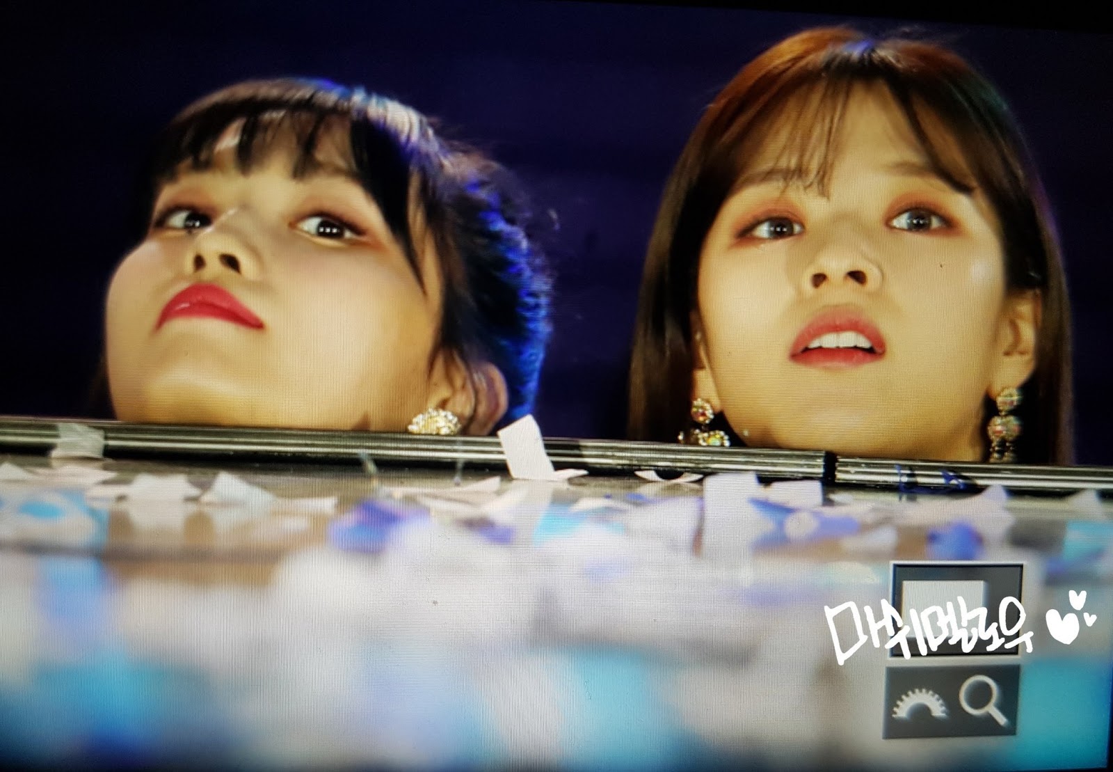 미어캣 트와이스