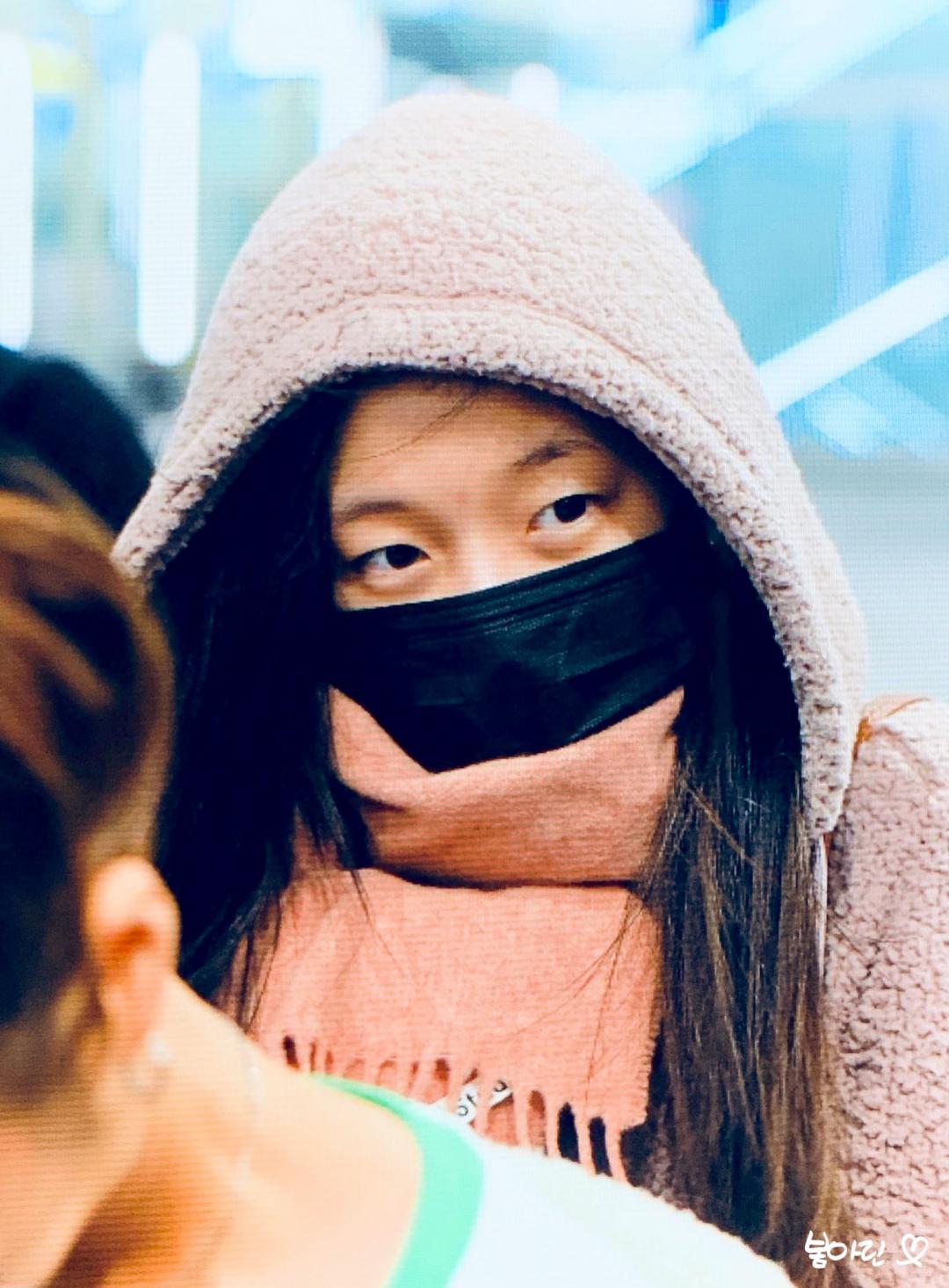 월드투어 마치고 귀국한 아린이 (190207)