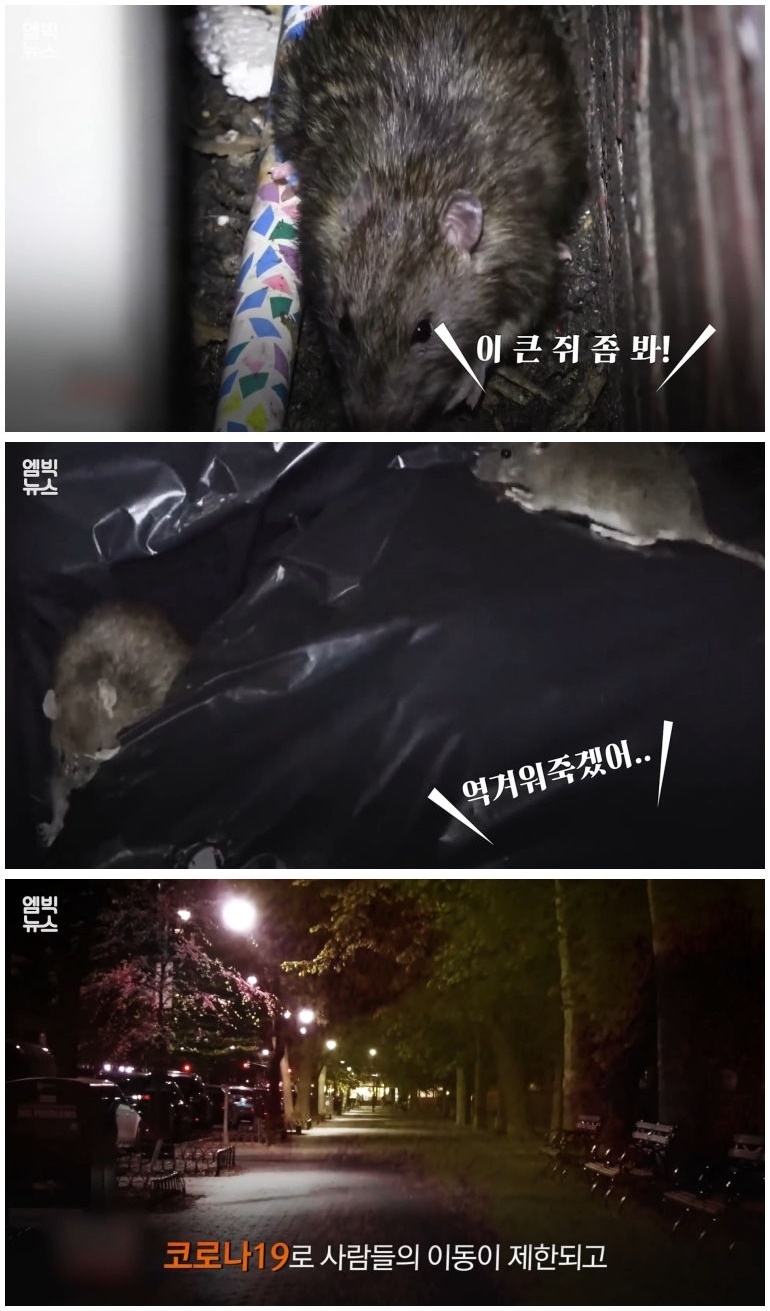 세계 곳곳 주요 도시에 창궐 중