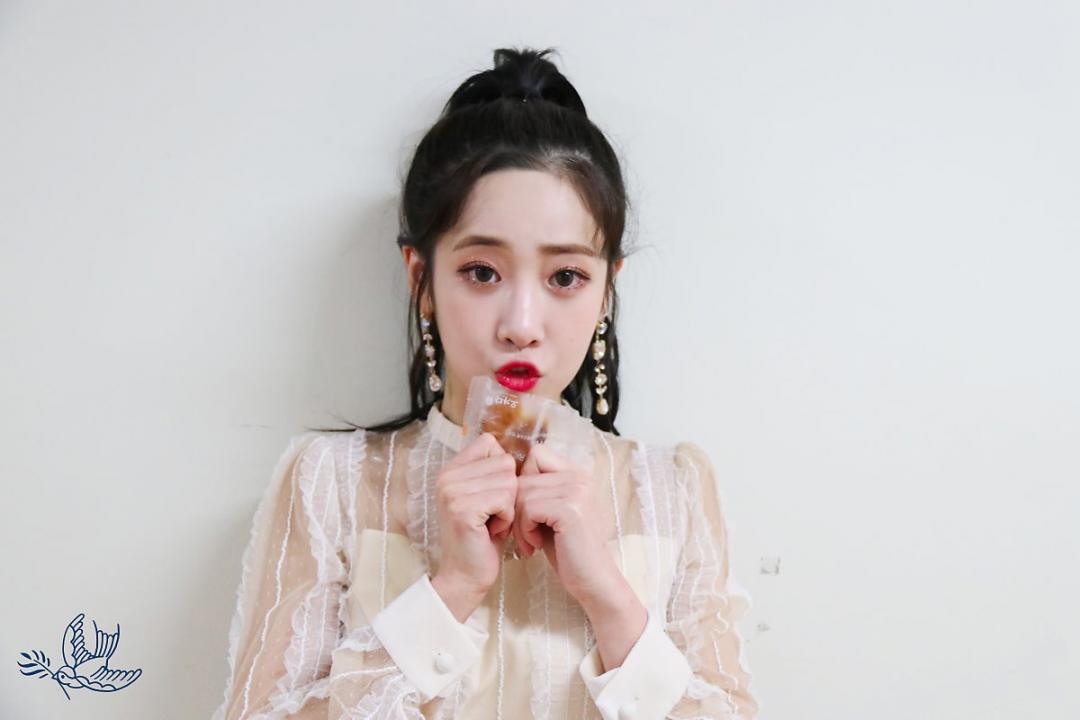 Lovelyz 소중했던 기억들로 Rewind 스압~