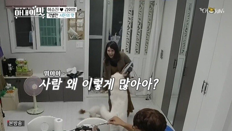 하승진 가족의 기묘한 동거
