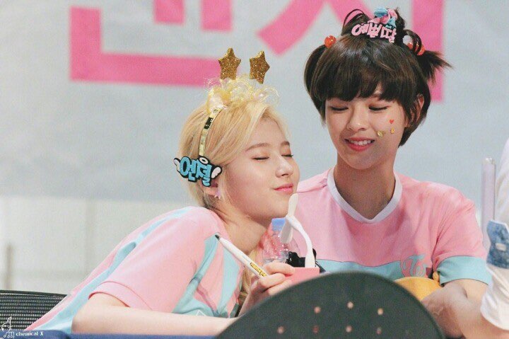 다정한 230즈 사나 정연