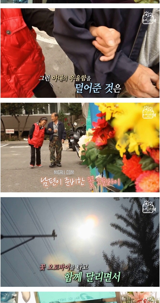 아내를 위한 정성