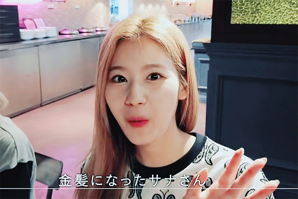 정열대륙 트와이스 사나 지효 모모 나연 [데이터]