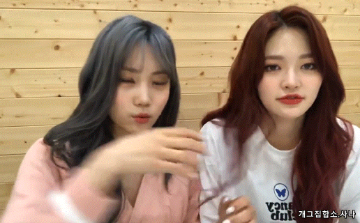 주은과 솜이