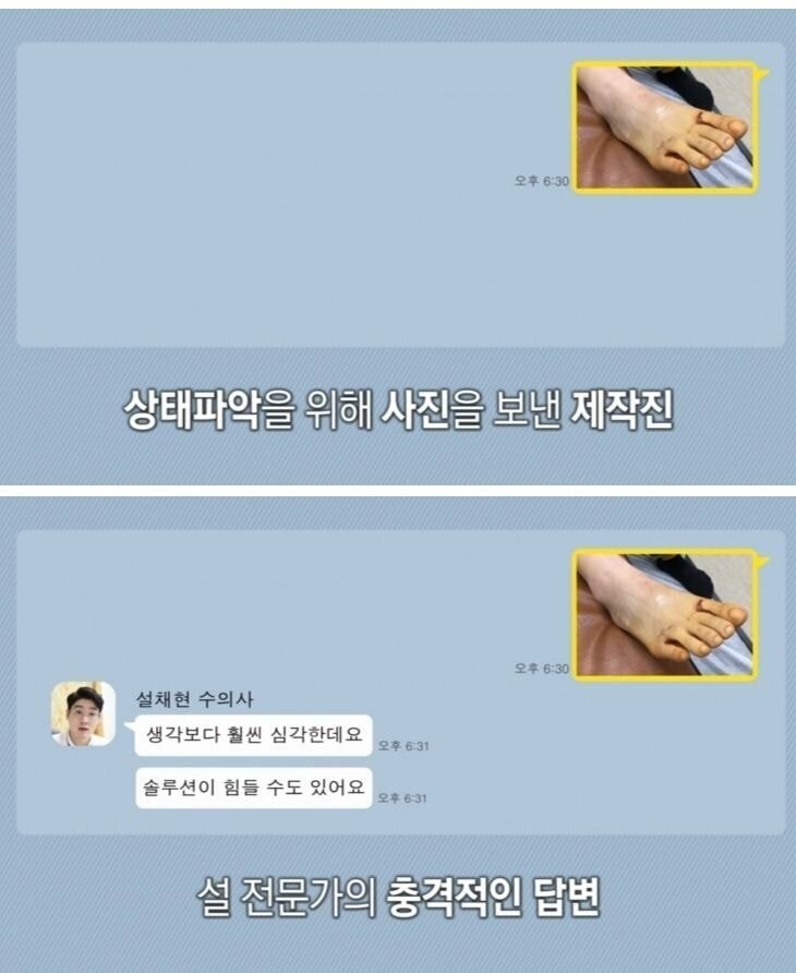 촬영 중 개한테 공격 받은 제작진