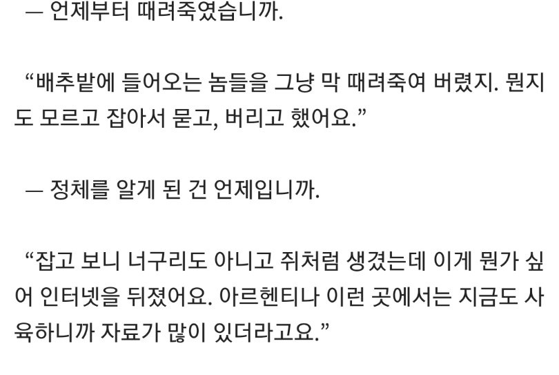 돼지열병 포상금에 안심할 수 있는 이유