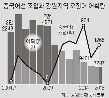 금징어