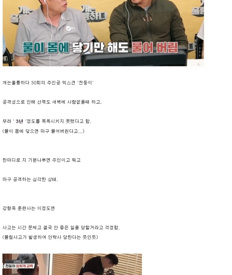 개통령 동물학대 논란