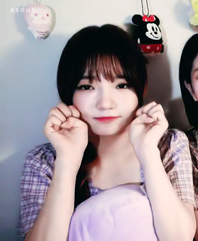 포뇨 지선
