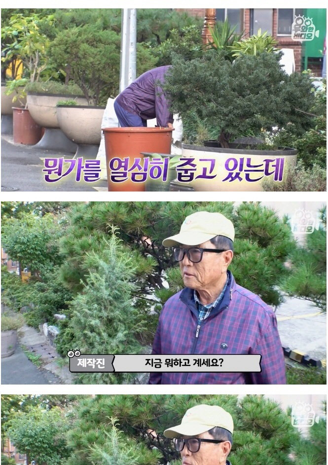 담배꽁초 모으는 수집가