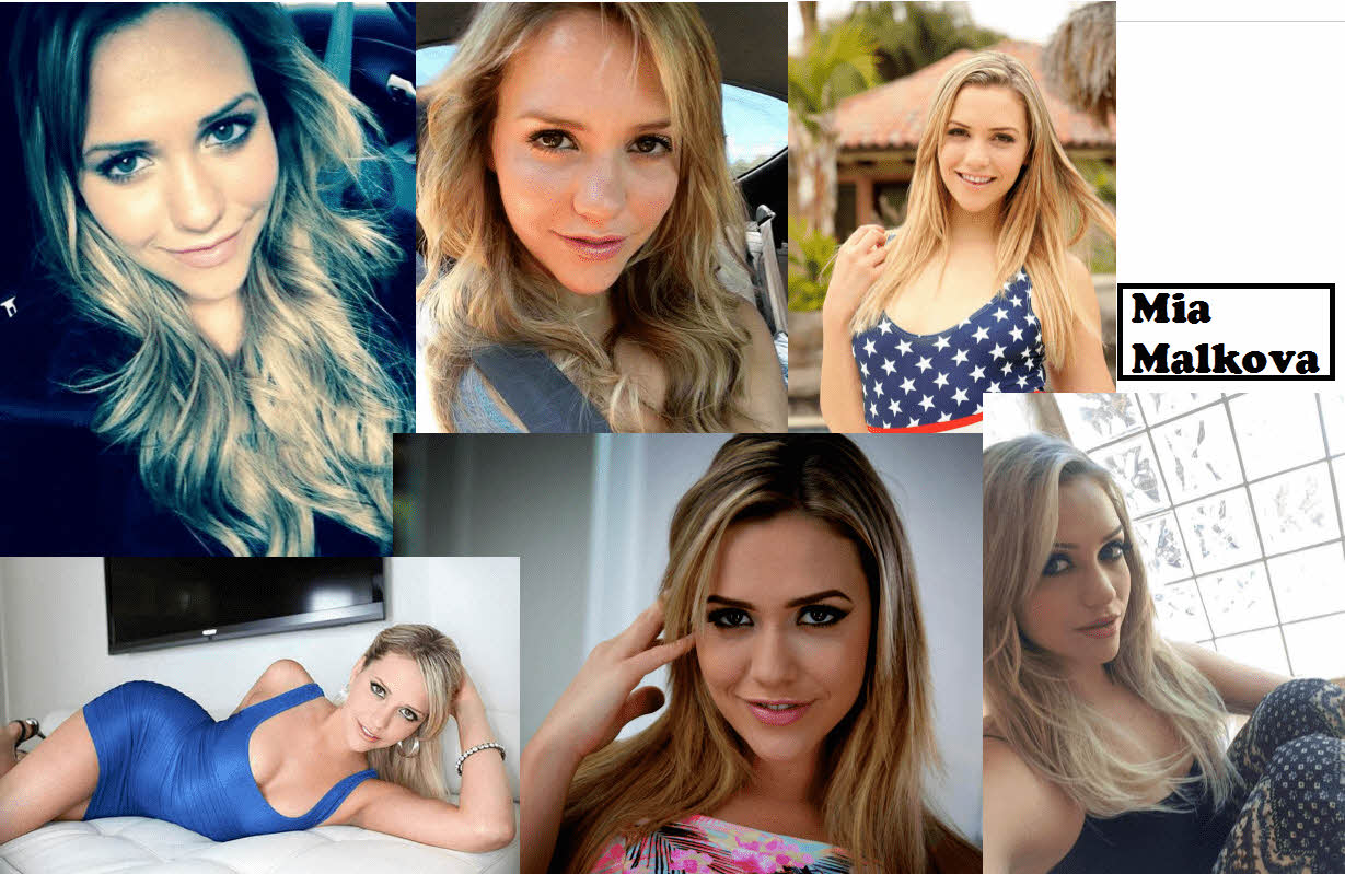 S급 서양 배우 확장판