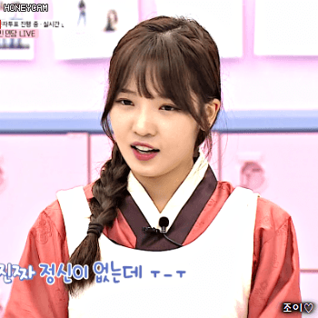 포뇨 지선