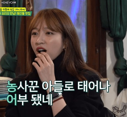 쫄보 하니