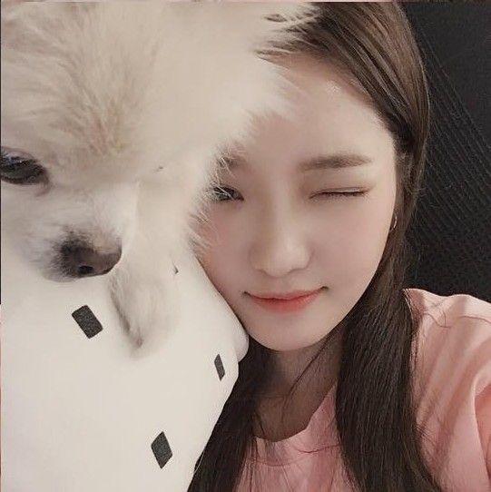 여러분의 데이터를 냠냠 프로미스나인