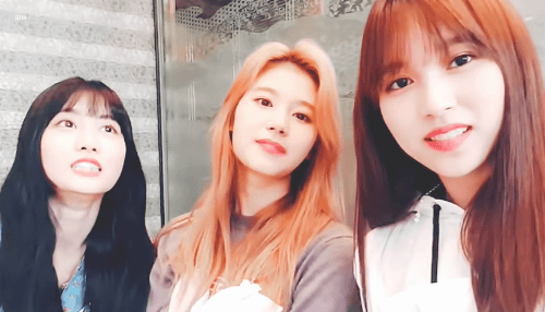 오늘자 브이앱 트와이스 미나 사나 모모 [108mb]