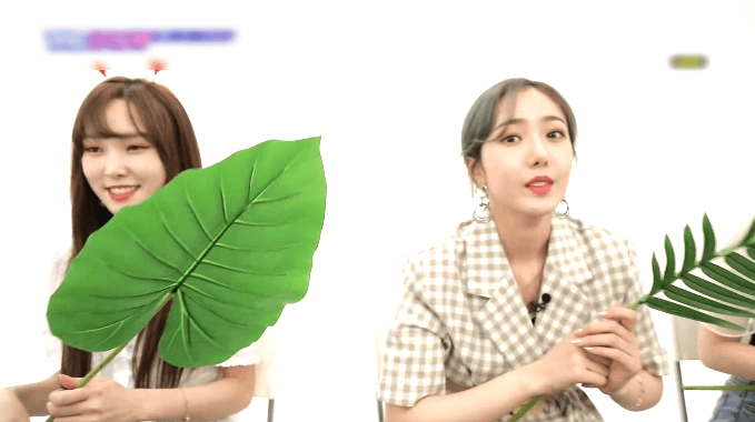 행덕라이브 여자친구