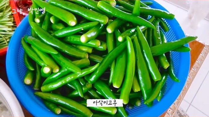 박민영이 알려주는 고추김치 맛있게 담그는 법