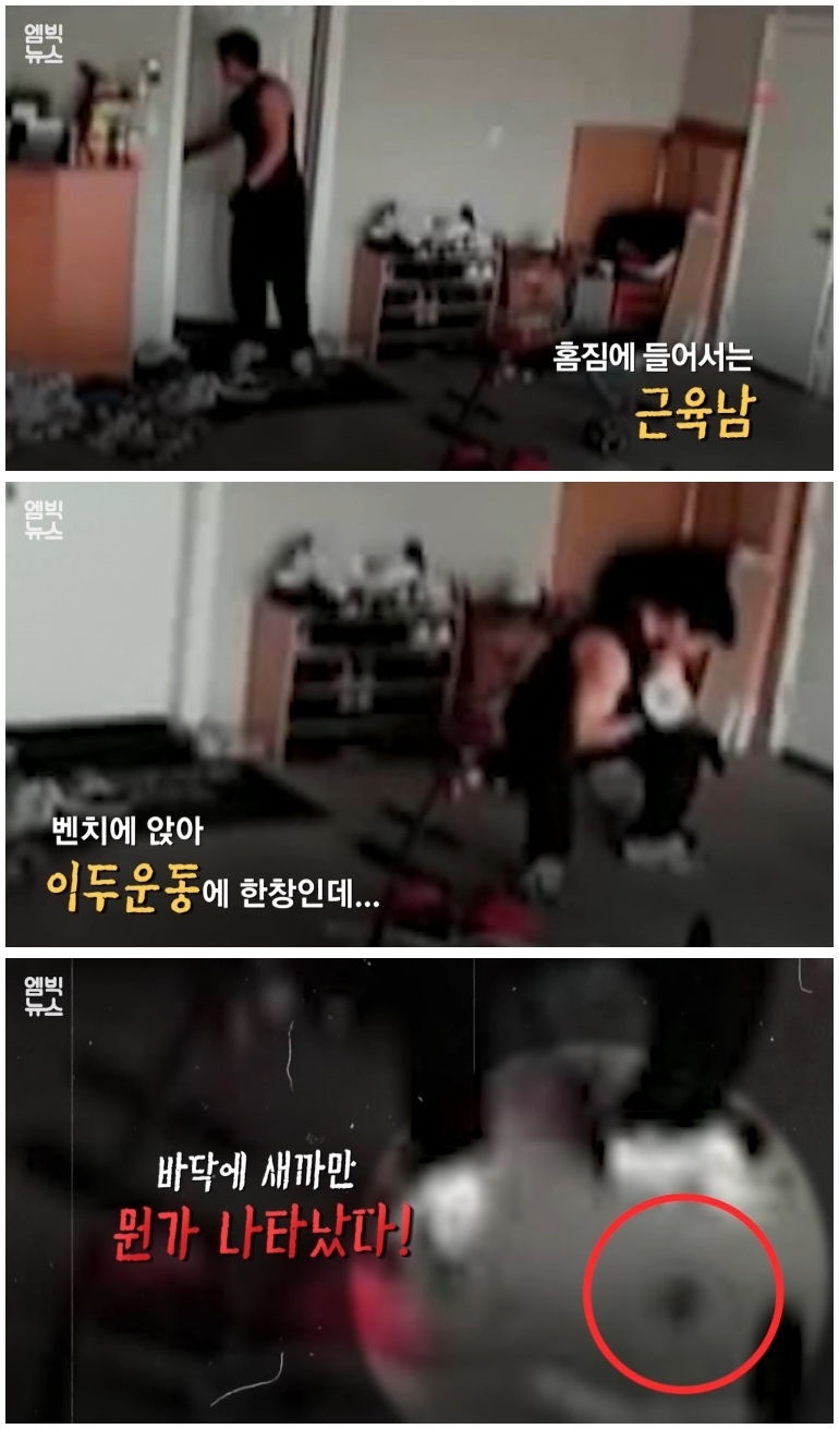 세계 곳곳 주요 도시에 창궐 중