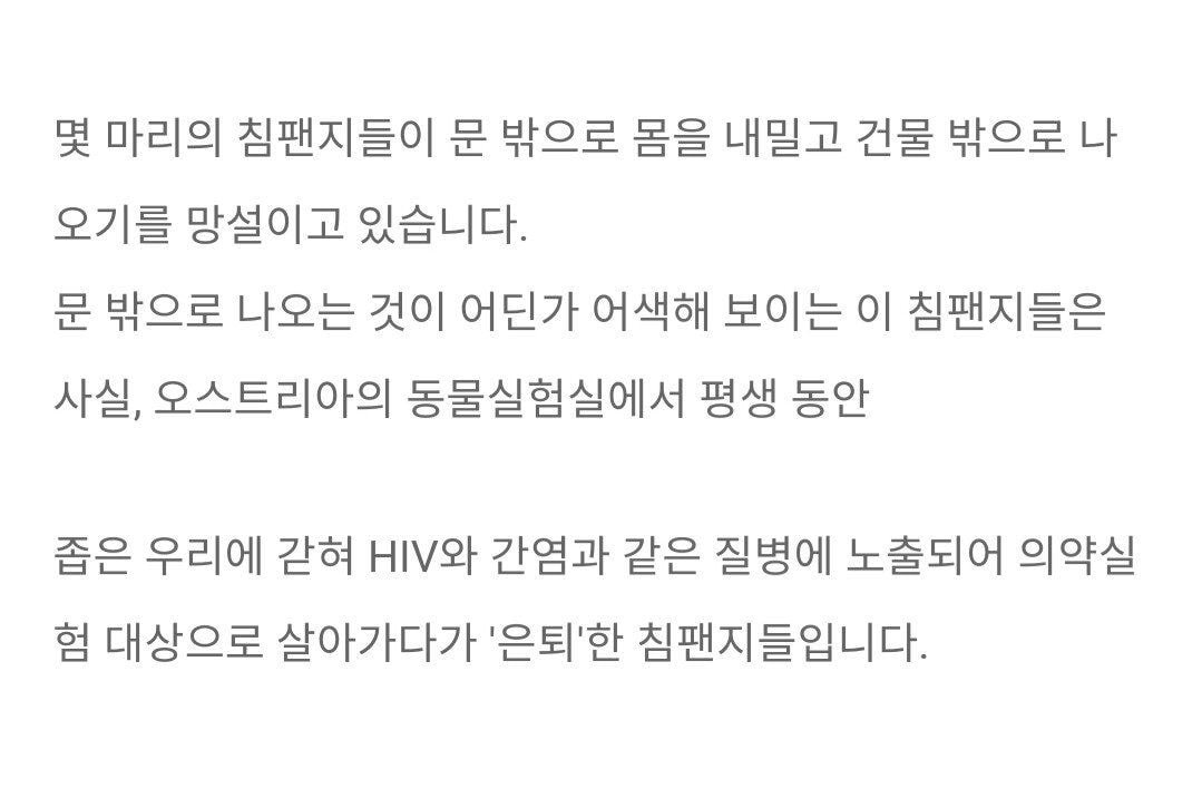 30년만에 햇빛을 본 침팬지들