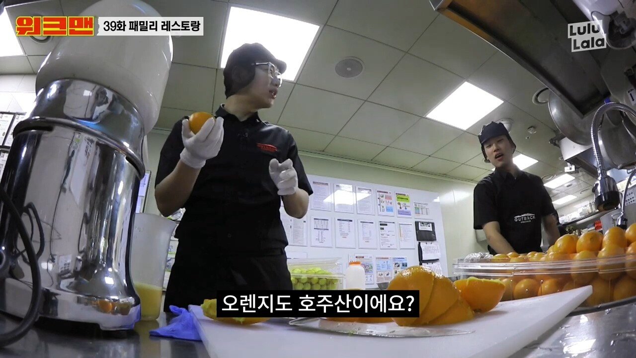 원산지로 알아보는 아웃백 유니버스