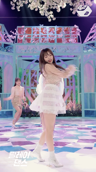 [릴레이댄스] 아이즈원(IZ*ONE) - 비올레타(Violeta)