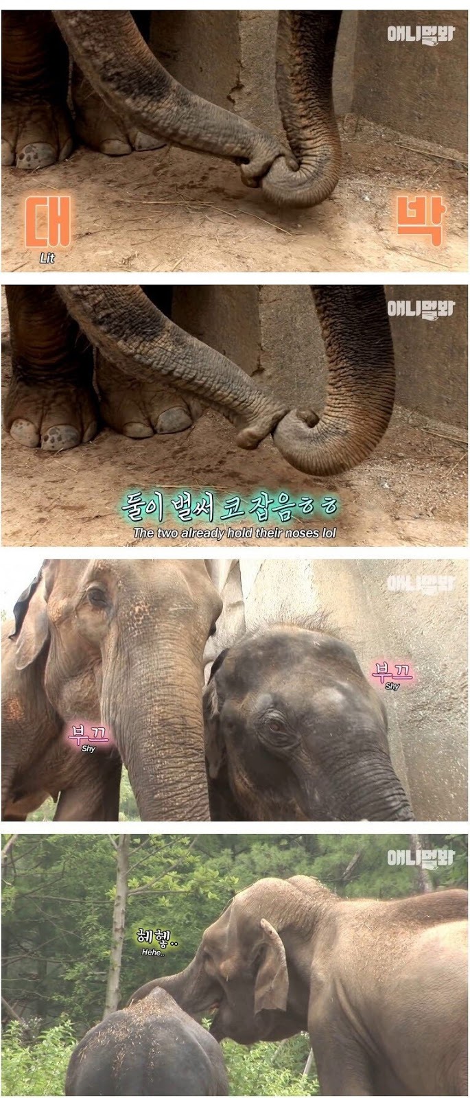 남친이랑 헤어지고 방청소 하다가 울음
