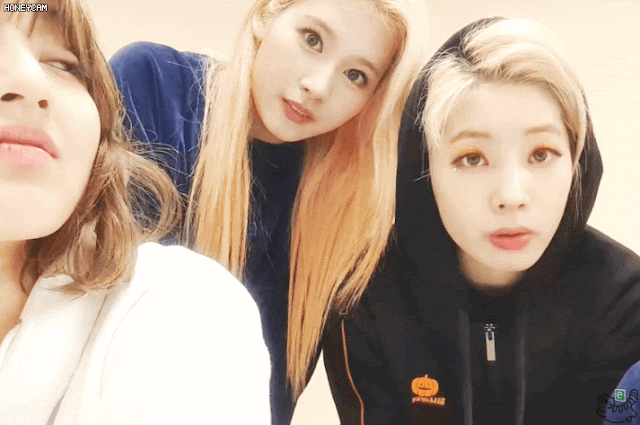 콘서트후 나연 모모 사나 다현 지효
