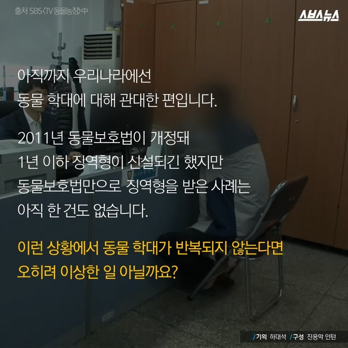 고양이 600마리 살해, 집행유예 2년 선고