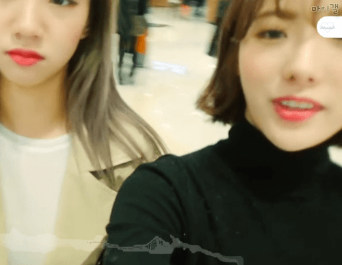 홍콩에 간 보나 루다