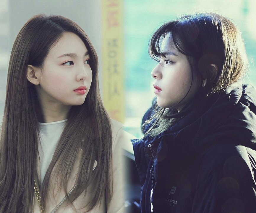 트와이스 애증의 쌍연 나연,정연