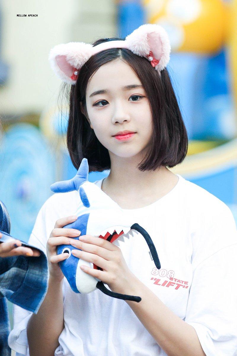 버스터즈 채연